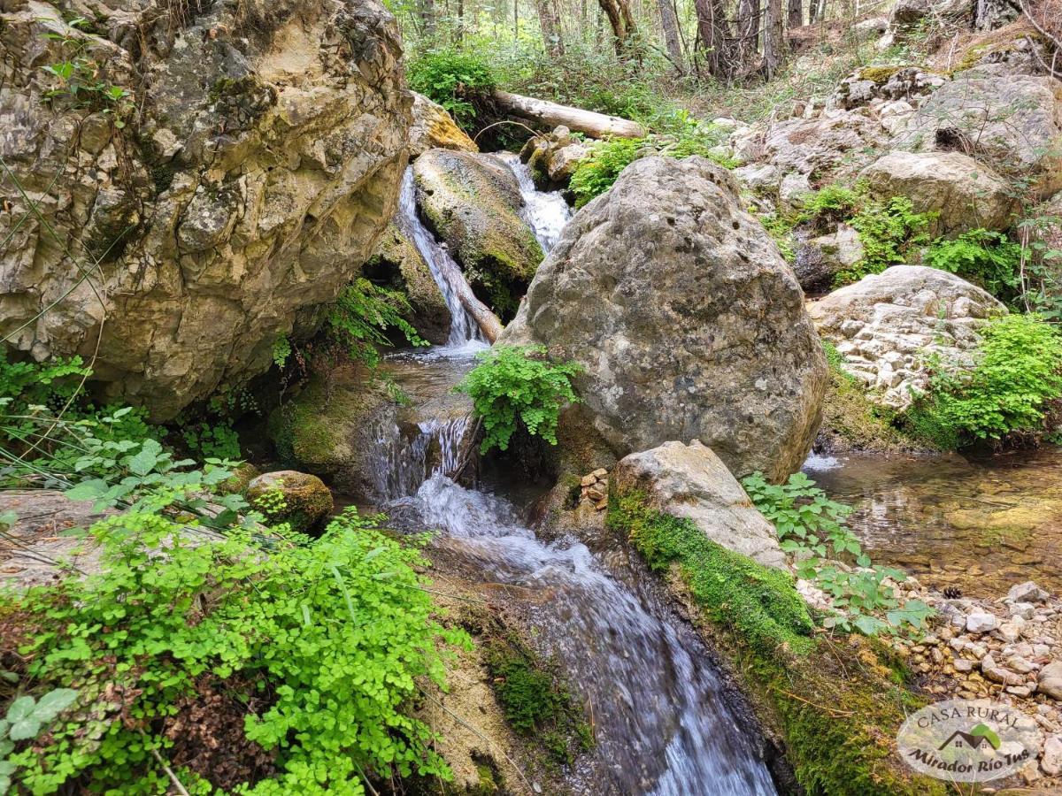 Casa Rural Mirador Del Rio Tus, En Yeste Kültér fotó