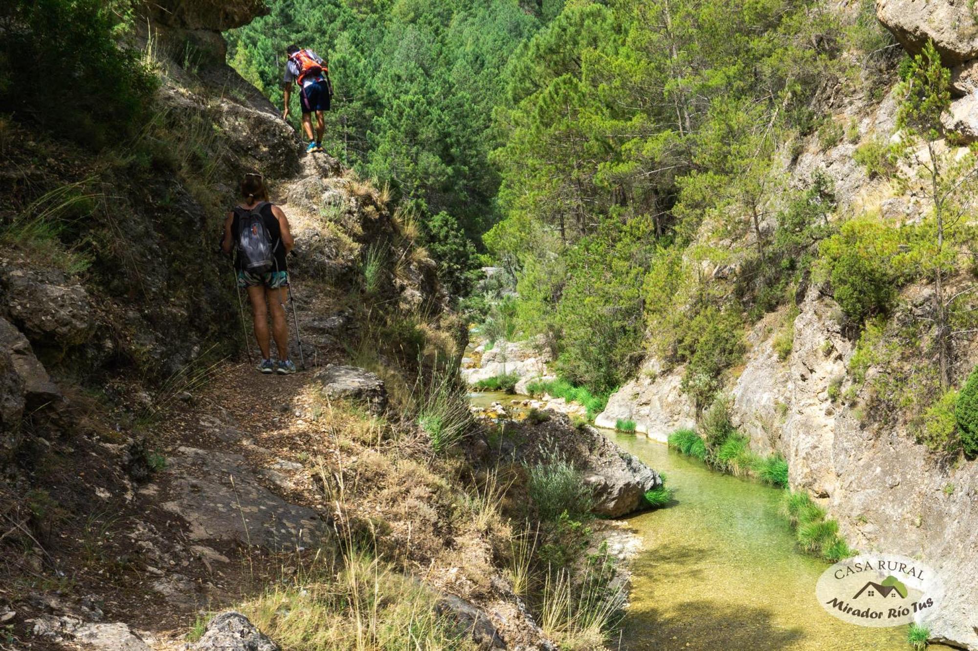 Casa Rural Mirador Del Rio Tus, En Yeste Kültér fotó