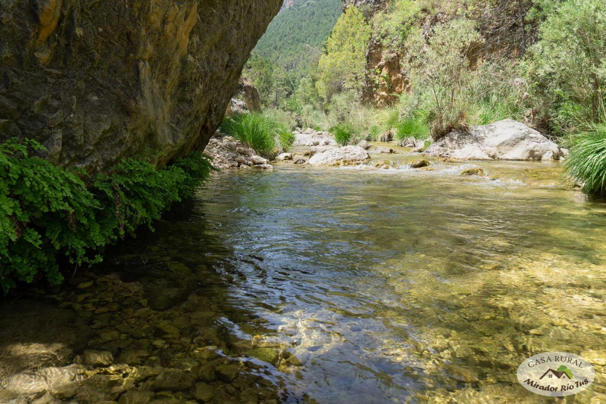 Casa Rural Mirador Del Rio Tus, En Yeste Kültér fotó